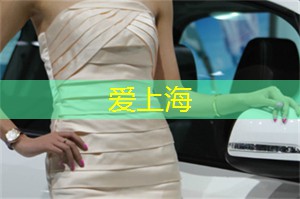 爱上海419：上海会所 __ ，为你呈现顶级娱乐，让你瞬间爆棚！