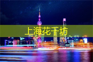你将发现一个全新的上海 你将发现一个全新的上海