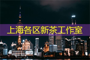 亲历精彩的孔子学院夜游体验 亲历精彩的孔子学院夜游体验